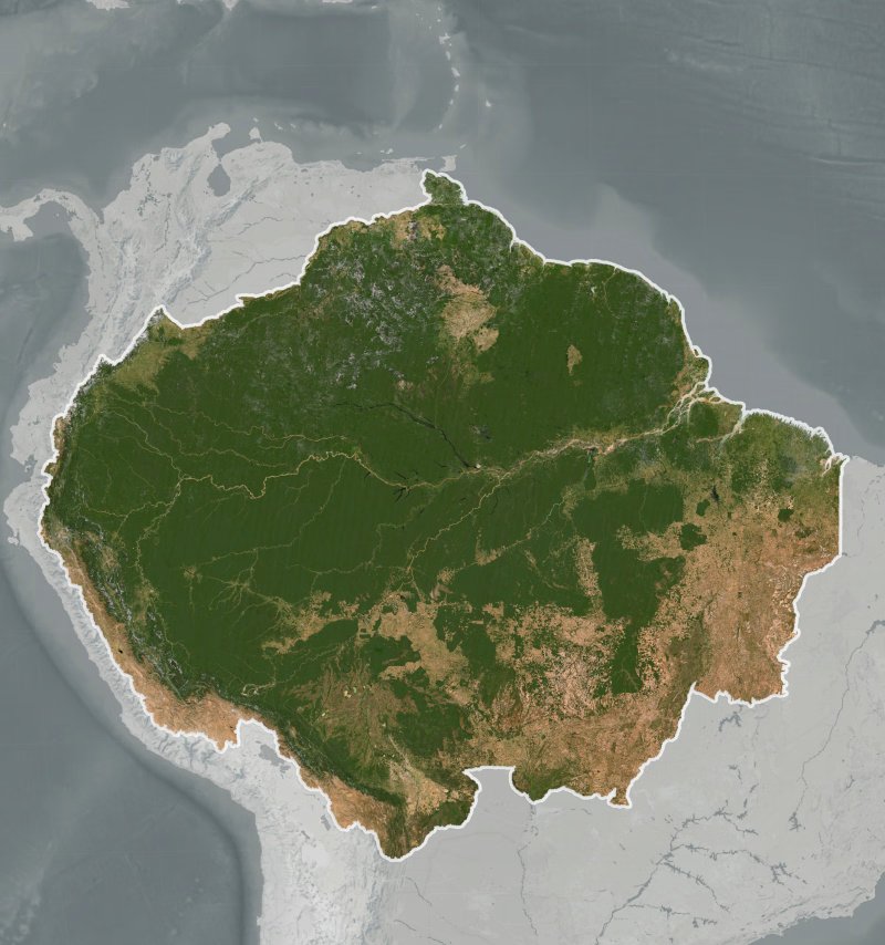 The Amazon Biome