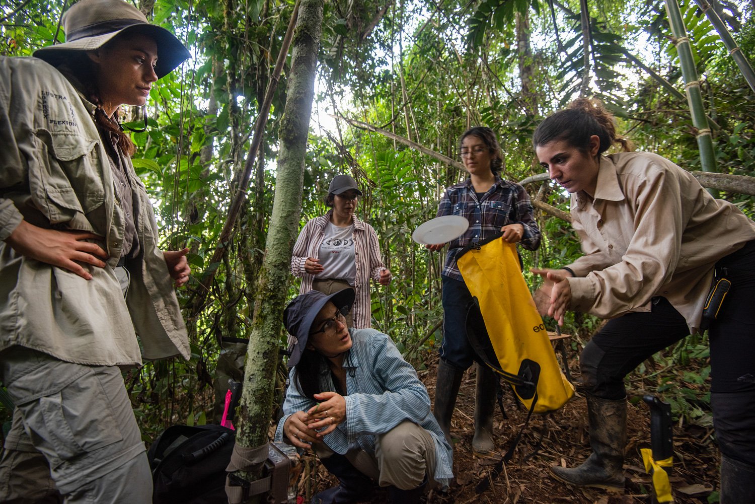 Los Amigos Biological Station