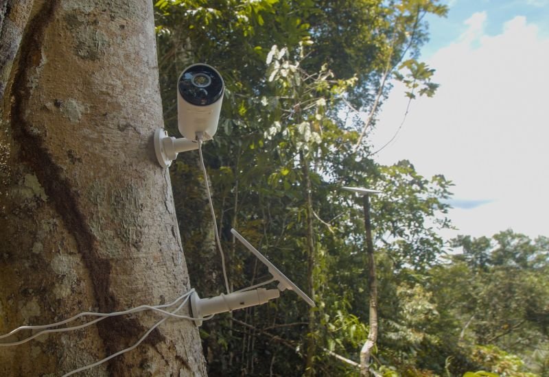&copy; Microsoft AI for Good Lab